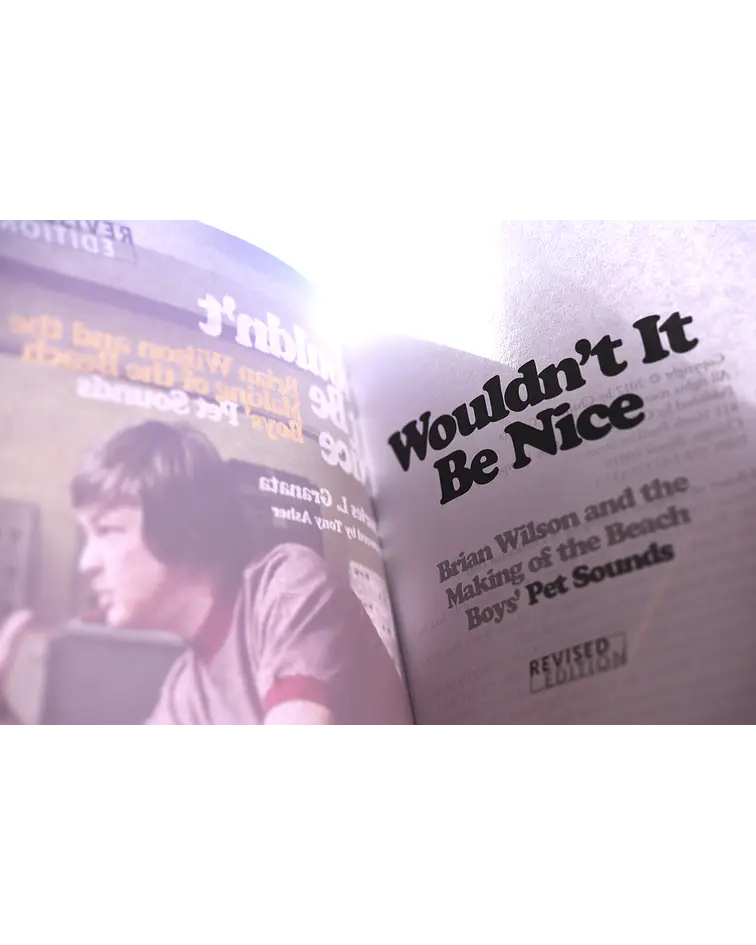 Wouldn't It Be Nice: Brian Wilson and the Making of the Beach Boys' Pet Sounds