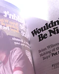 Wouldn't It Be Nice: Brian Wilson and the Making of the Beach Boys' Pet Sounds