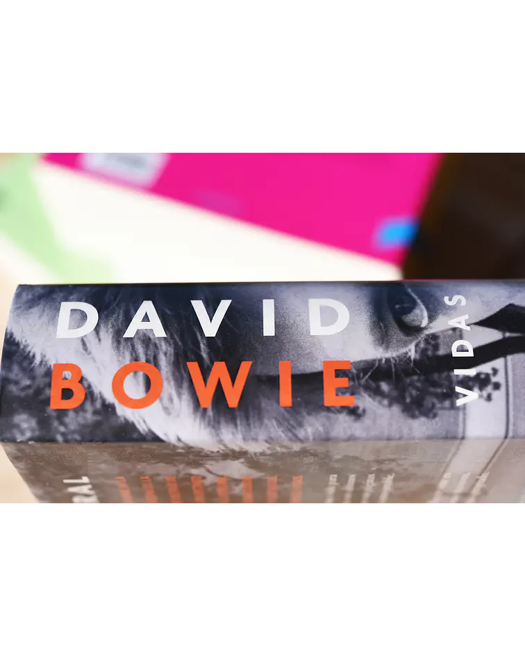 David Bowie: Vidas
