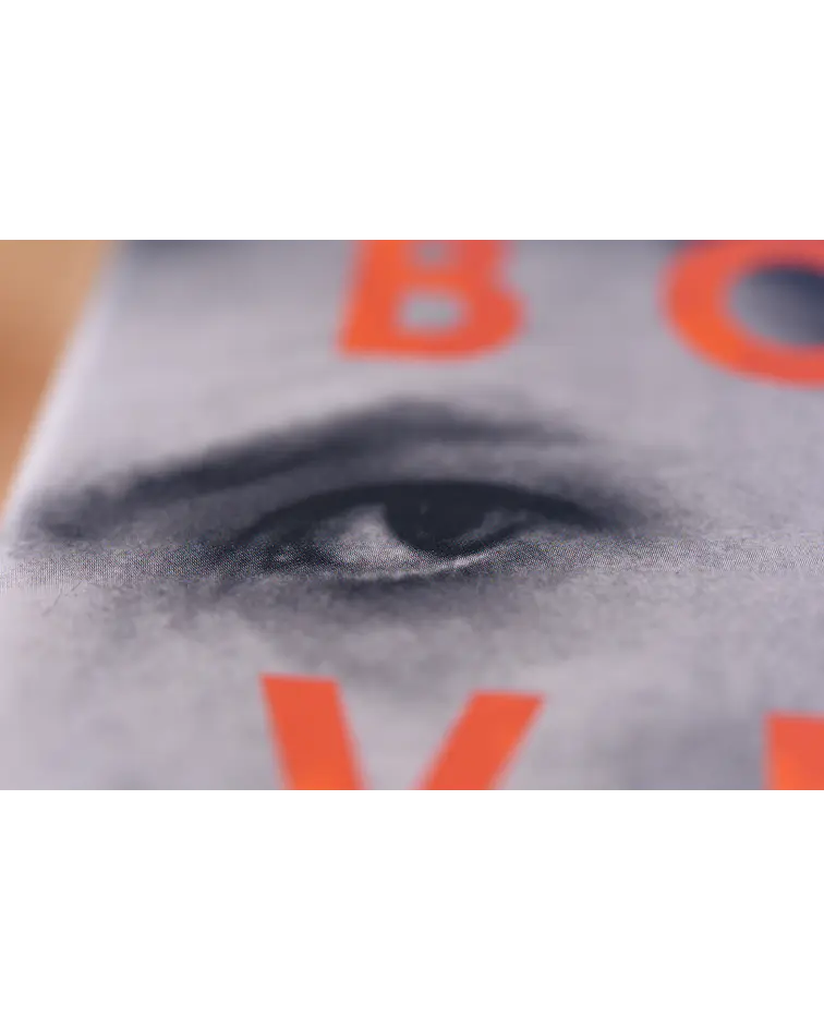 David Bowie: Vidas