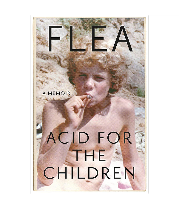 Acid for the Children. A memoir