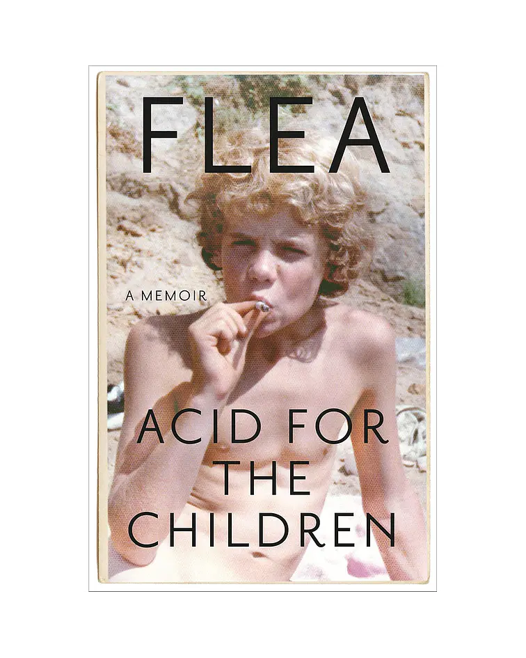 Acid for the Children. A memoir