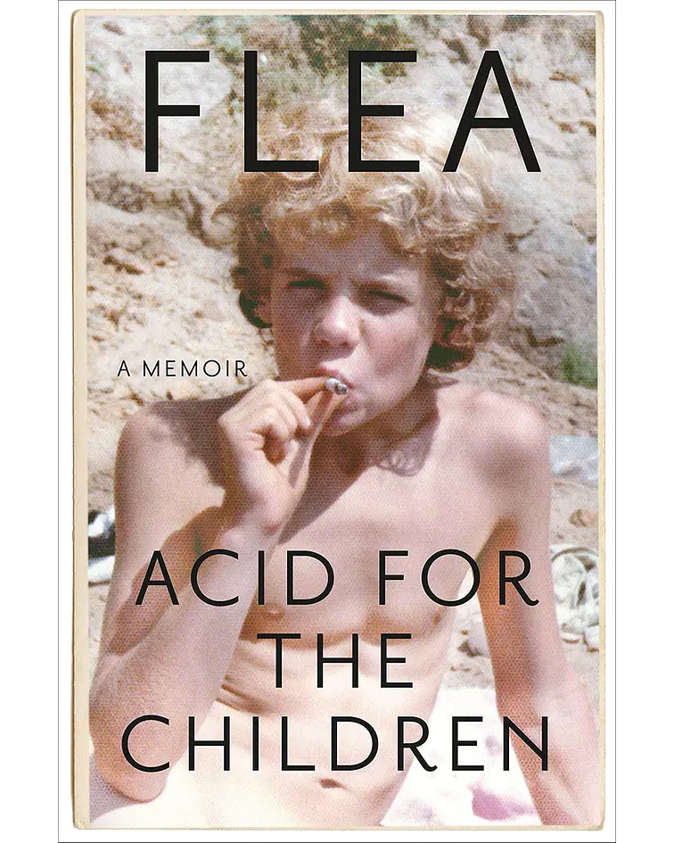 Acid for the Children. A memoir
