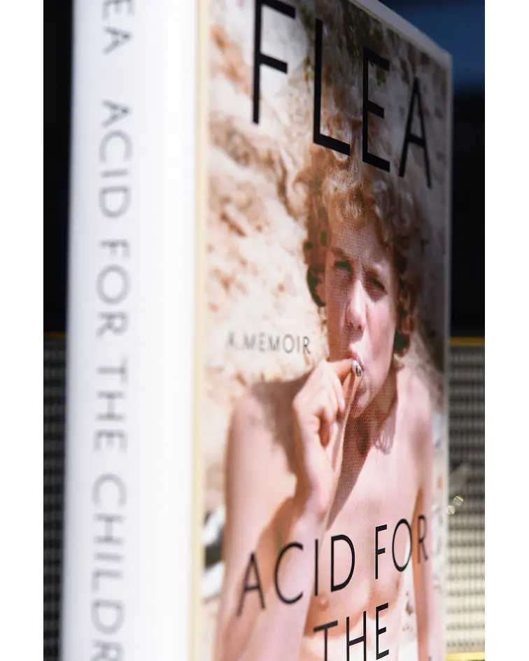 Acid for the Children. A memoir