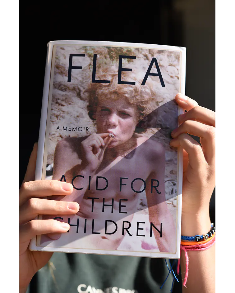 Acid for the Children. A memoir