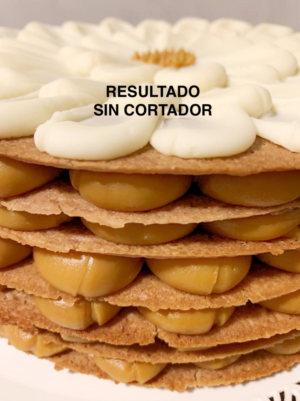 Cortador 20 cm 6