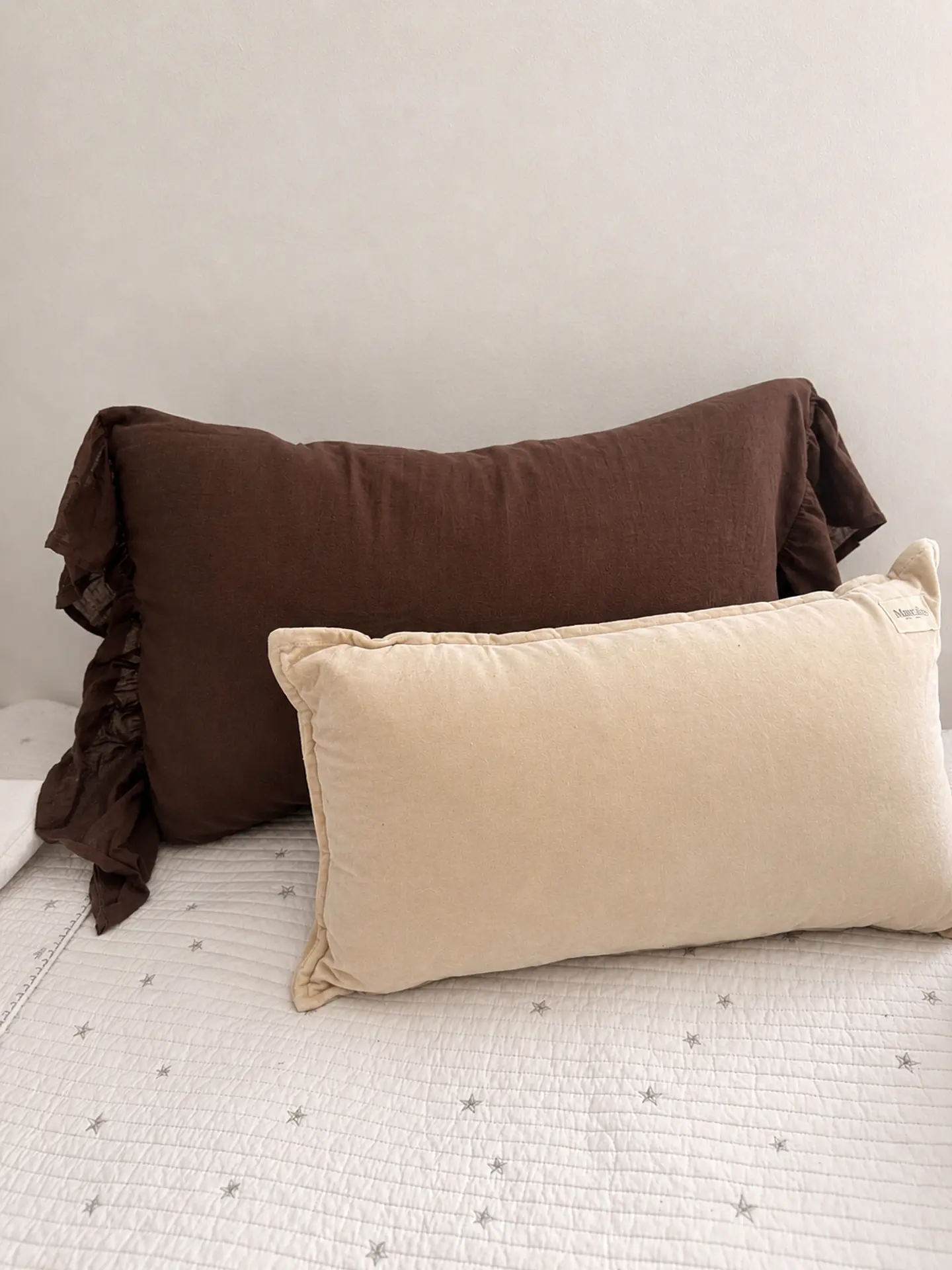 FUNDA COJIN VUELO 60X40 2