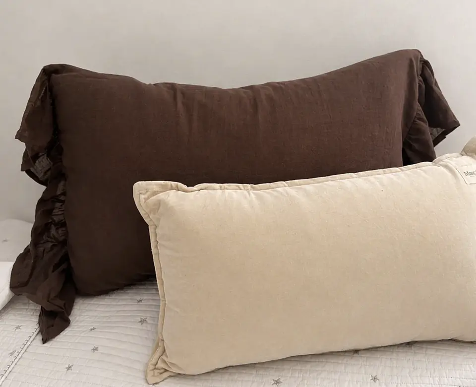 PACK PILLOW + 2 COJINES VUELOS  3