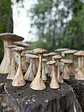 Hongos de madera - Miniatura 3