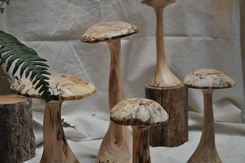 Hongos de madera