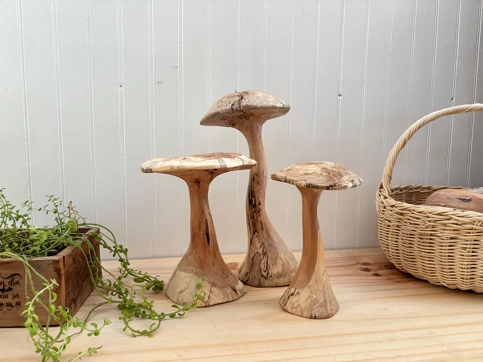Trio de hongos de maderas nativas  1