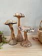 Trio de hongos de maderas nativas  - Miniatura 9