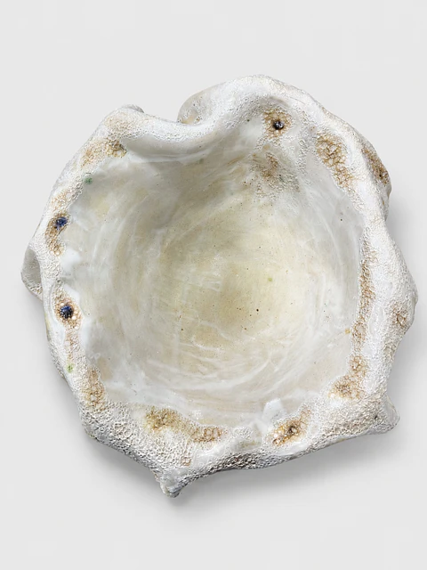 Fuente Cráter Lunar