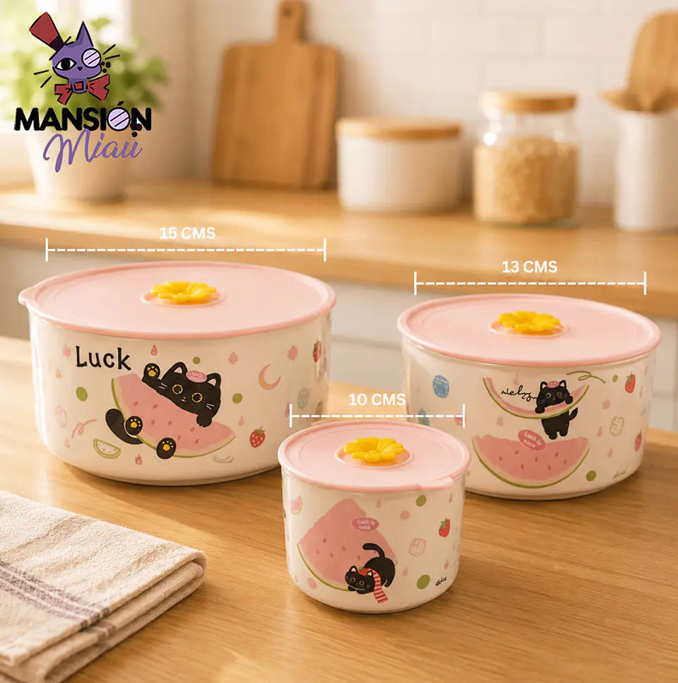  JUEGO BOWL DE CÉRAMICA GATUNO CON TAPA 4