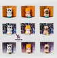 BLIND BOX DISTRESSED CAT FIGURAS - Miniatura 1