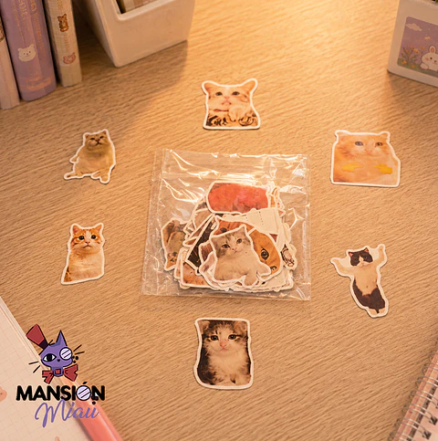 SOBRE DE 100 STICKERS GATOS DE INTERNET