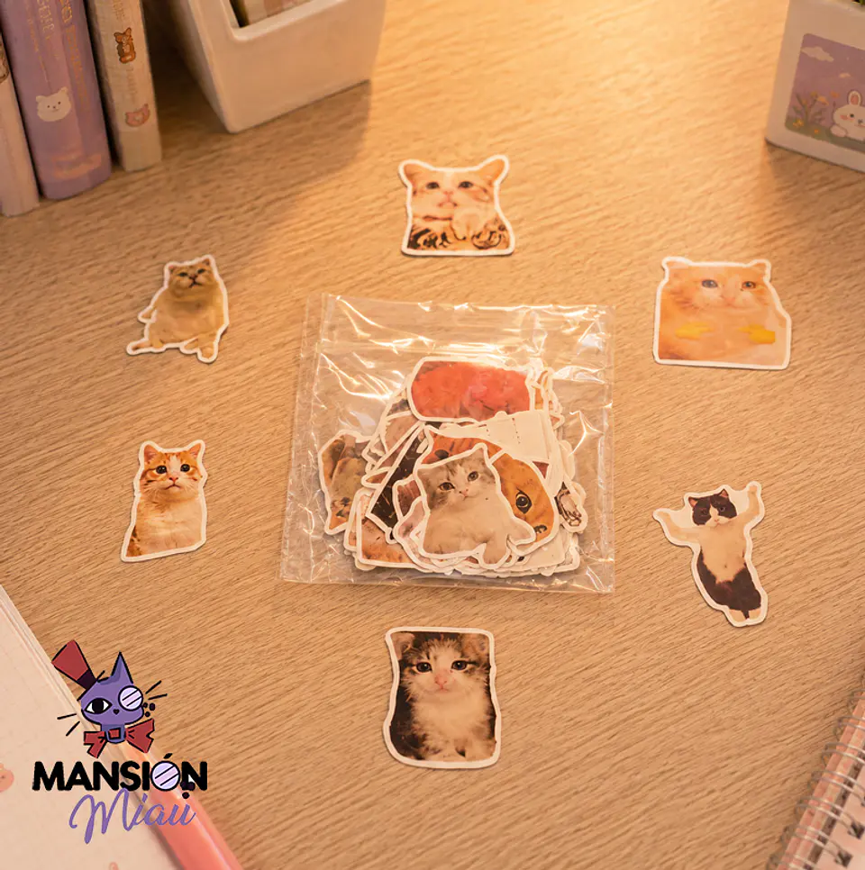 SOBRE DE 100 STICKERS GATOS DE INTERNET 1