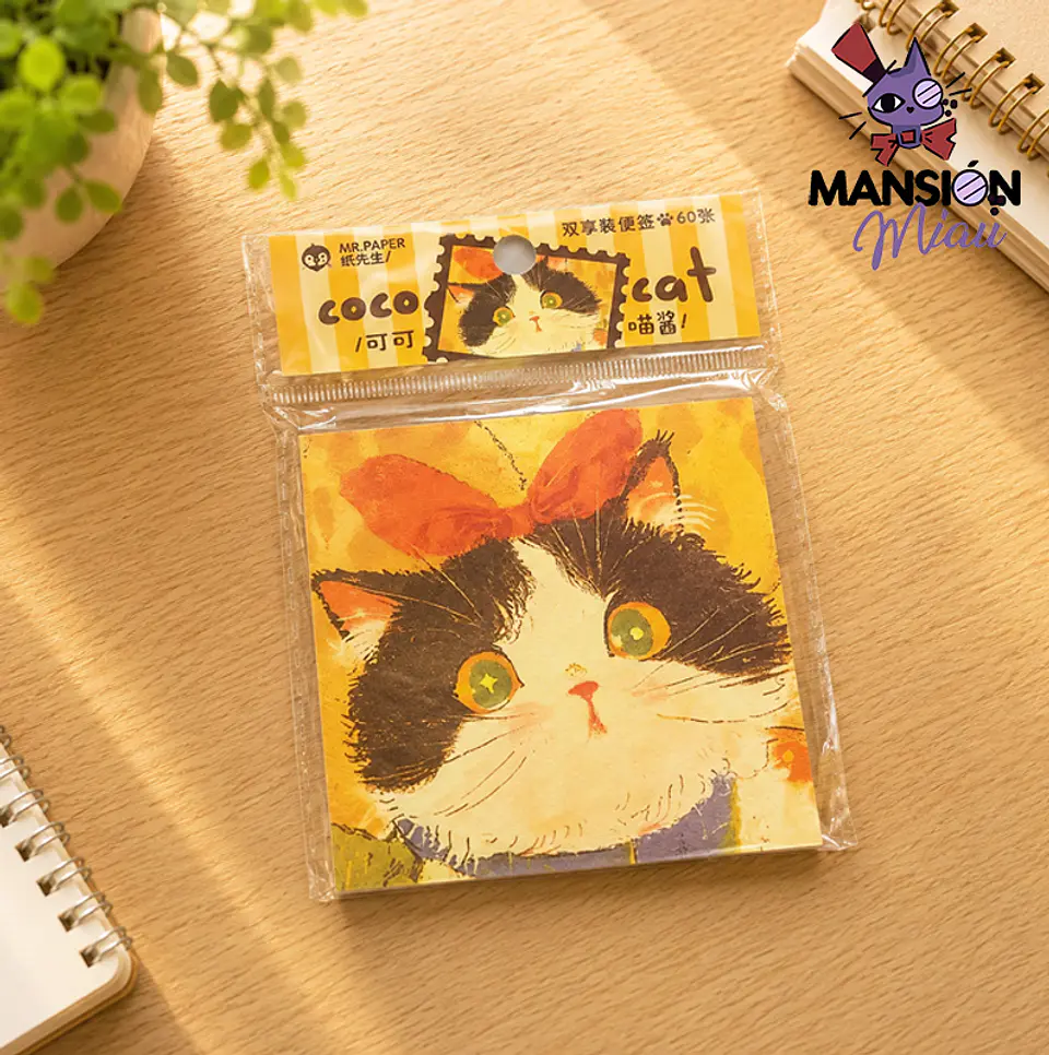 TACO MR PAPER CARITA DE GATO 2
