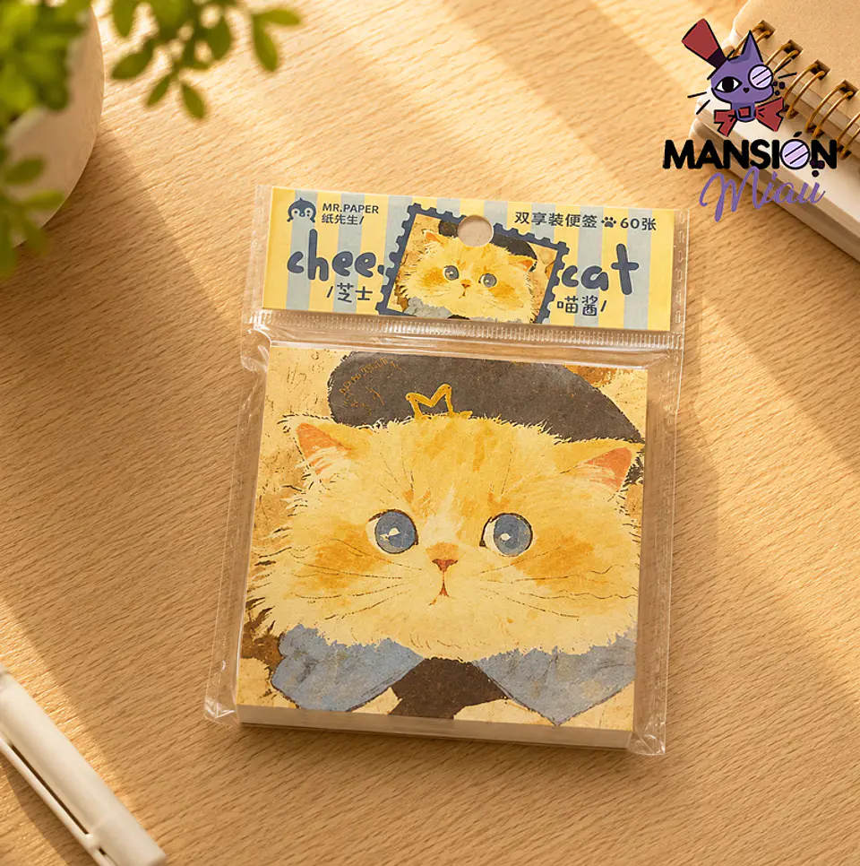 TACO MR PAPER CARITA DE GATO 3