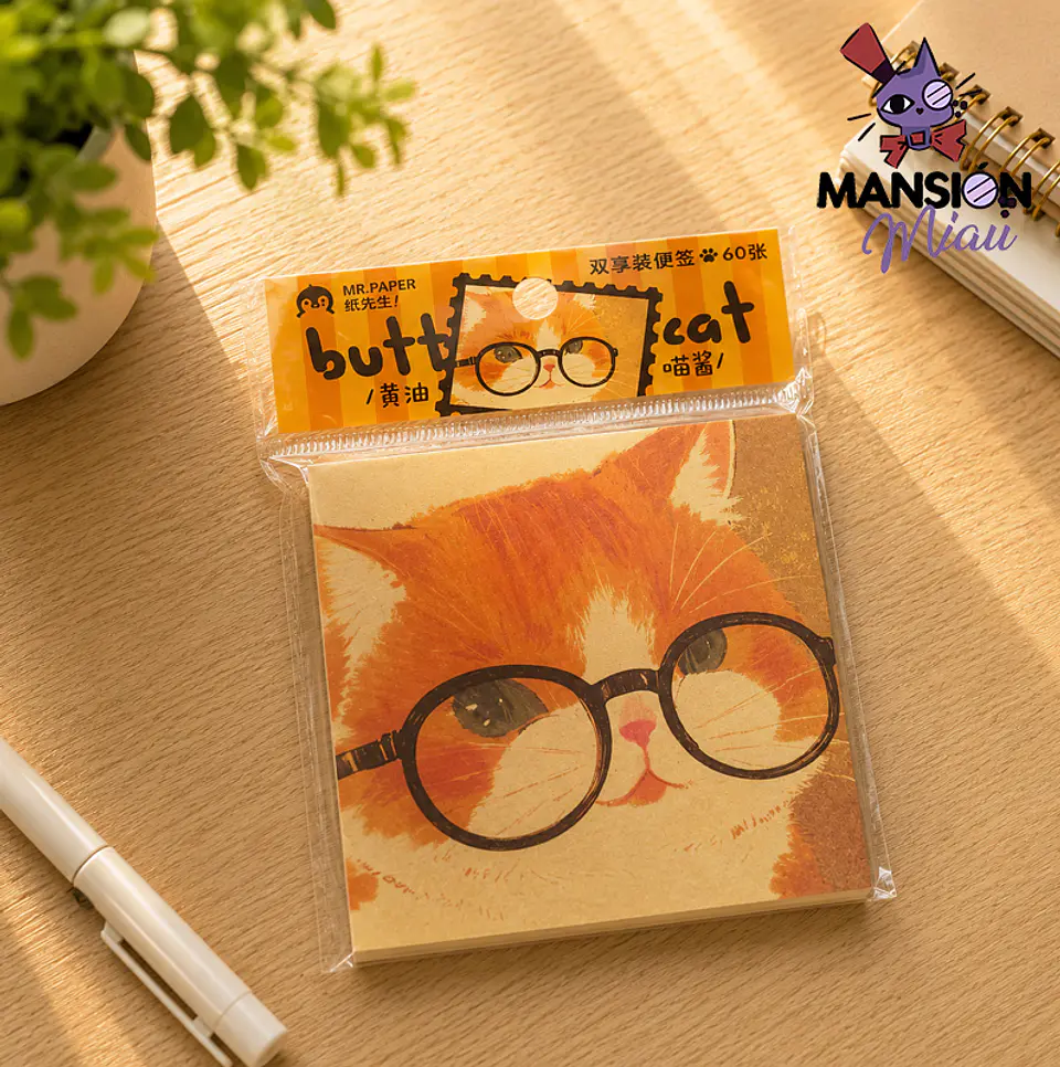 TACO MR PAPER CARITA DE GATO 4
