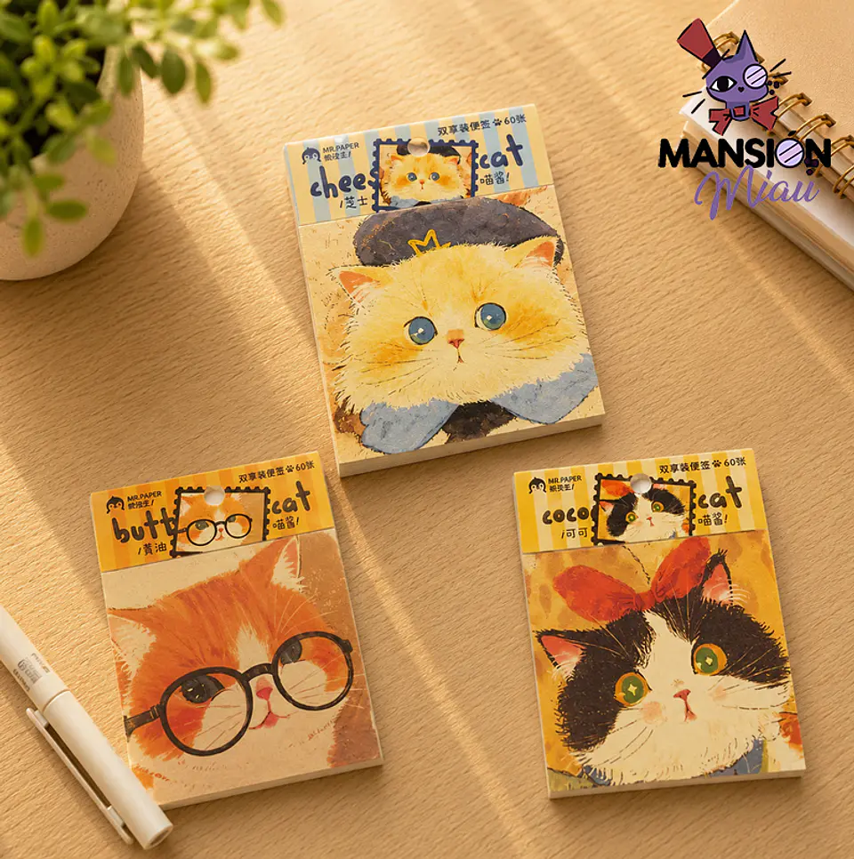 TACO MR PAPER CARITA DE GATO 1