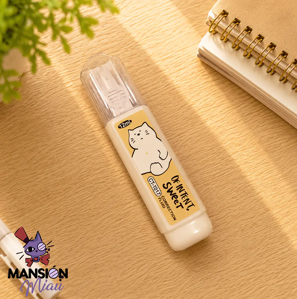 CORRECTOR LIQUIDO 1