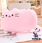 PELUCHE COJIN GATO PUSHEEN 40X30 - Miniatura 3