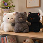 PELUCHE GATITO GORDO 37 CM - Miniatura 1