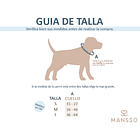 Pañoleta Noventas 3