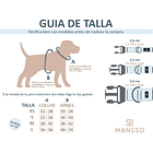 Collar, Arnes y Correa Tribal 3