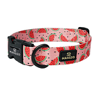 Collar, Arnes y Correa Sandías 7