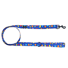 Collar, Arnes y Correa Pacdog 7