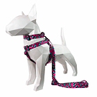 Collar, Arnes y Correa Morpardo 1