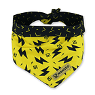 Pañoleta doblefaz Rayos 5