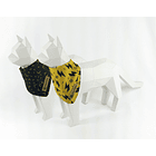 Pañoleta doblefaz Rayos 4