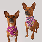 Pañoleta doblefaz Unicordog 2