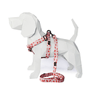 Arnés y Correa Sandias 1