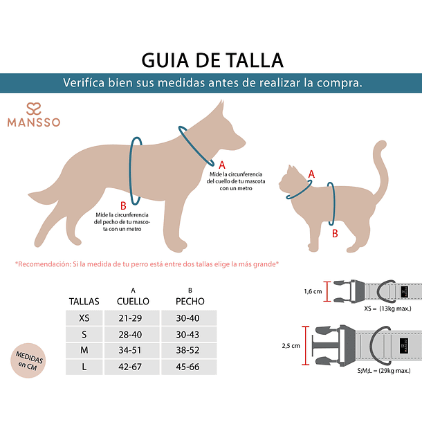 Collar y Correa Mounstro 3