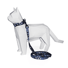 Collar y Correa Astropet 1