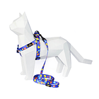 Arnés y Correa Pacdog 2