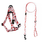 Arnés y Correa Sandias 3