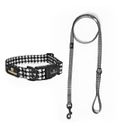 Collar y Correa Gallineto 3