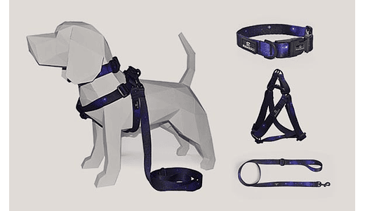 ARNéS + COLLAR + CORREA