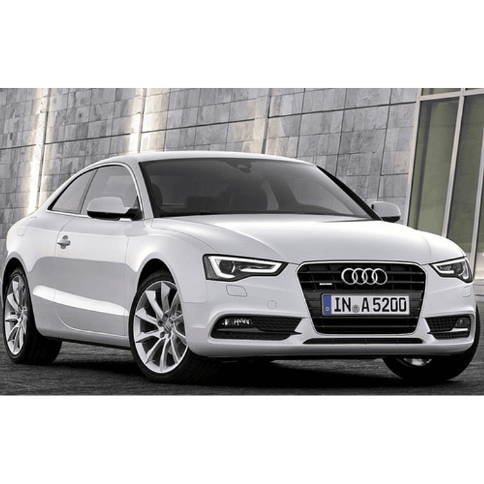 Manual de Taller Audi A5 (2007-2016) Ingles