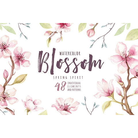 Cliparts Png Flores Blossom Acuarela Watercolor Pa3