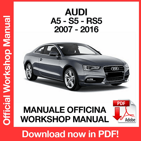 AUDI A5 S5 RS5 (2007, 2008, 2009, 2010, 2011) (EN) Workshop Repair Manual Download PDF