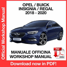 Opel Insignia / Buick Regal (2018, 2019, 2020) (EN) Workshop Repair Manual Download PDF