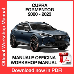 Cupra Formentor (2020, 2021, 2022, 2023) (EN) Workshop Repair Manual Download PDF