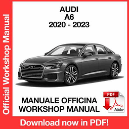 Audi A6 4A5 (2020, 2021, 2022, 2023) (EN) Workshop Repair Manual Download PDF