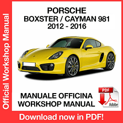 Porsche Boxster - Cayman 981 (2012, 2013, 2014, 2015, 2016) (EN) Workshop Repair Manual Download PDF
